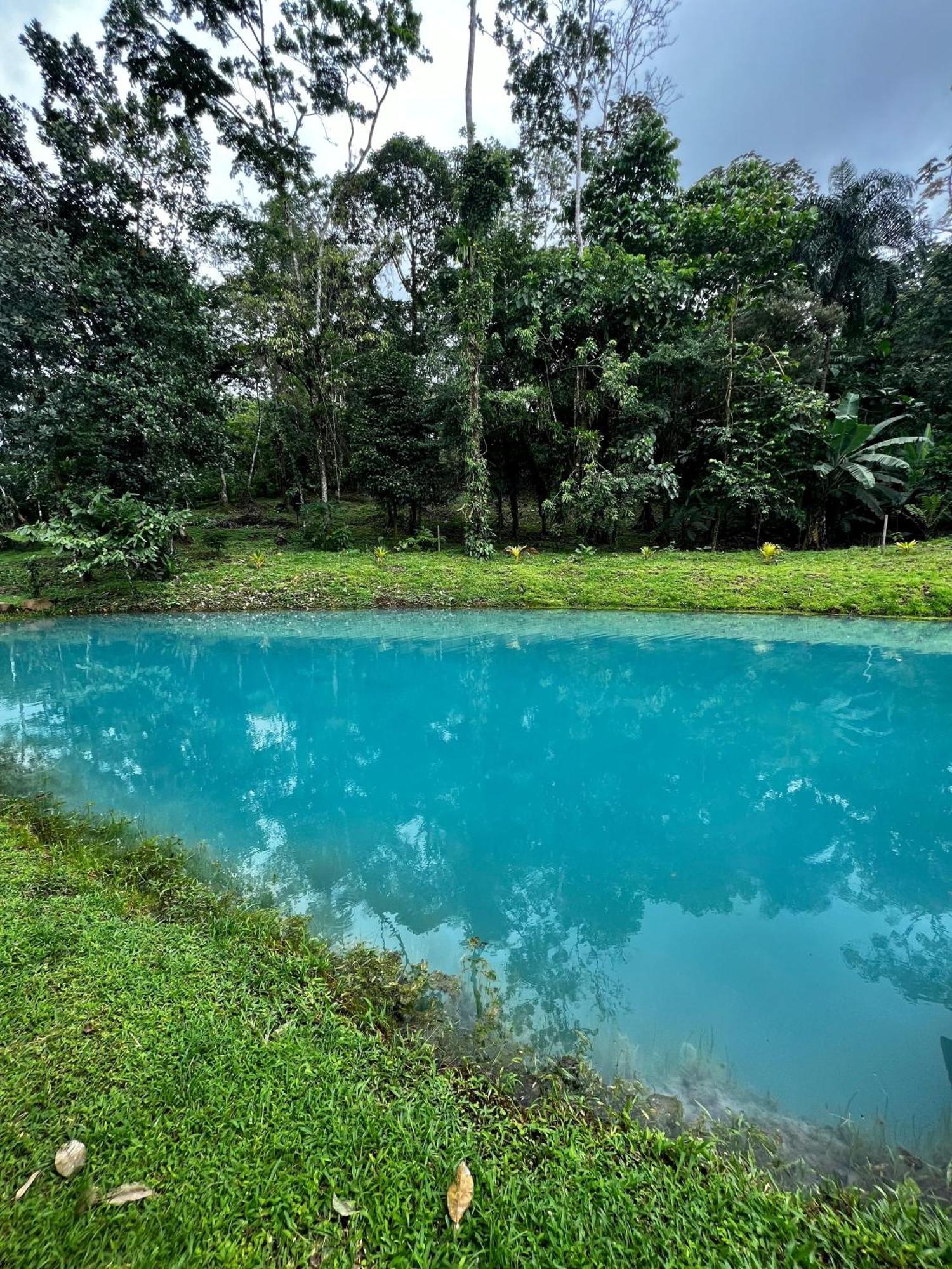 Mineral River Eco Village Upala Εξωτερικό φωτογραφία